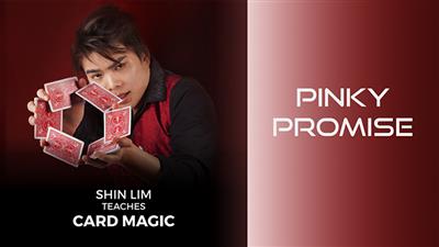 Pinky Promise 1 and 2 by Shin Lim (Single Trick) video DOWNLOAD