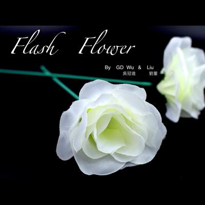 White Flash Flower (2pk.) - by GD Wu & GT magicstore - Trick