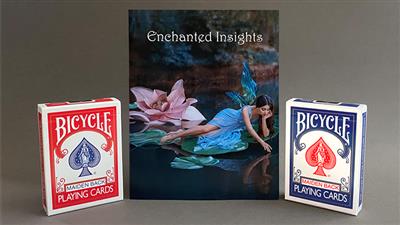 ENCHANTED INSIGHTS BLUE (French Instruction) by Magic Entertainment Solutions - Trick