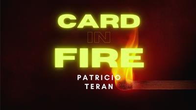 Card in Fire by Patricio Teran video DOWNLOAD