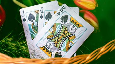 Butterfly Seasons Playing Cards Marked (Spring) by Ondrej Psenicka