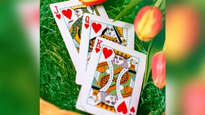 Butterfly Seasons Playing Cards Marked (Spring) by Ondrej Psenicka