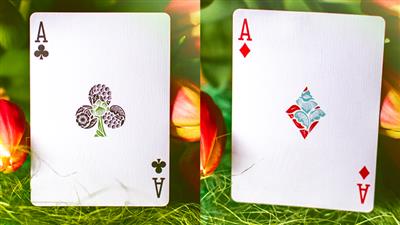 Butterfly Seasons Playing Cards Marked (Spring) by Ondrej Psenicka