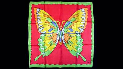 Rice Picture Silk 18'' (Butterfly) by Silk King Studios - Trick