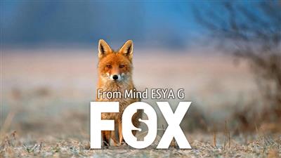 FOX by Esya G video DOWNLOAD