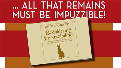 Bewildering Impuzzibilities by Jim Steinmeyer - Book