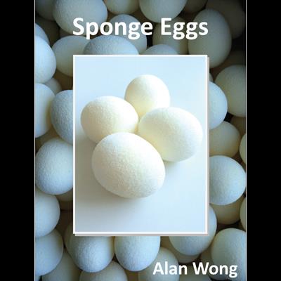 Sponge Eggs (4pk.) by Alan Wong - Trick