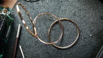 4'' Linking Rings (Gold) by TCC - Trick