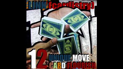 LINK (Cardistry Project) by SaysevenT video DOWNLOAD