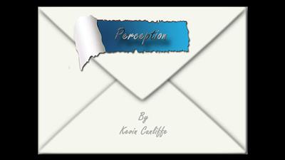 PERCEPTION by Kevin Cunliffe eBook DOWNLOAD