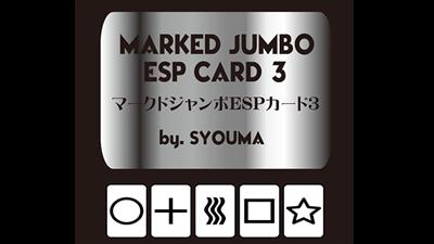 Marked Jumbo ESP Cards (Black) by Tejinaya Magic - Trick