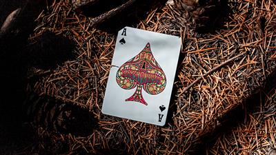Psychonauts Playing Cards by Joker and the Thief