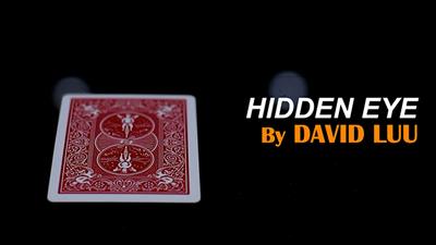 Hidden Eye by David Luu video DOWNLOAD