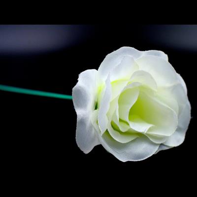 White Flash Flower (2pk.) - by GD Wu & GT magicstore - Trick