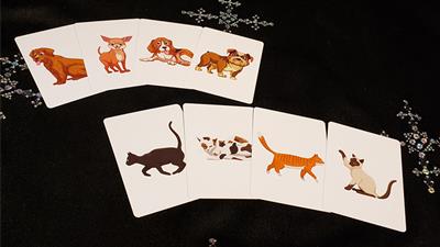 Animal Card by Tejinaya by Tejinaya Magic - Trick