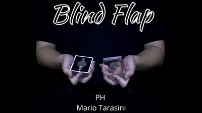 The Vault - Blind Flap Project by PH and Mario Tarasini video DOWNLOAD