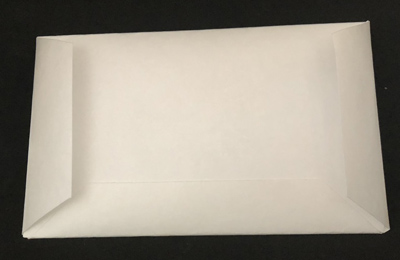 The Envelope - Tyvek Double Ended Envelope 3 Pack by Mark Traversoni
