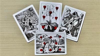 Cotta's Almanac #6 Transformation Playing Cards