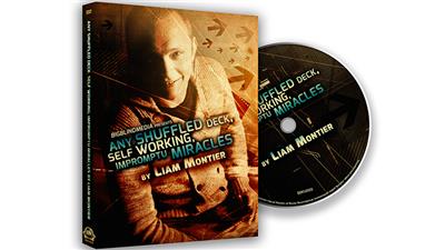BIGBLINDMEDIA Presents Any Shuffled Deck - Self-Working Impromptu Miracles - DVD
