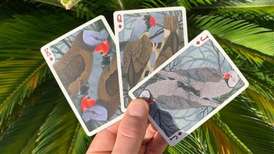 Bicycle Parrot Extinct Playing Cards