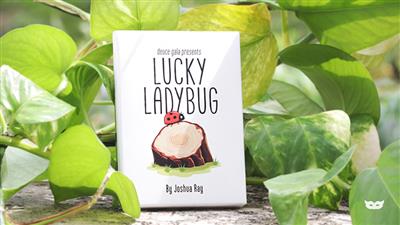 Lucky Ladybug (Gimmicks and Online Instructions) by Joshua Ray & Deuce Gala Magic