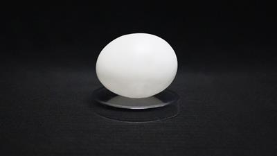 Deluxe Latex (Vinyl) Egg-Tissue to Egg Routine by Viking Magic - Trick
