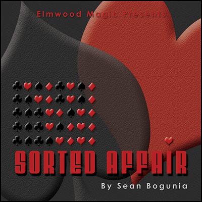 Sorted Affair (2013) by Sean Bogunia