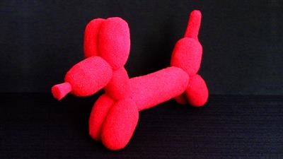 Sponge Balloon Dog by Alexander May - Trick