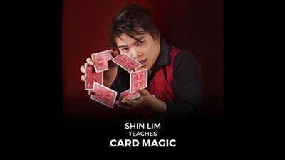 Shin